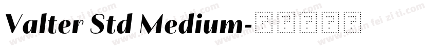 Valter Std Medium字体转换